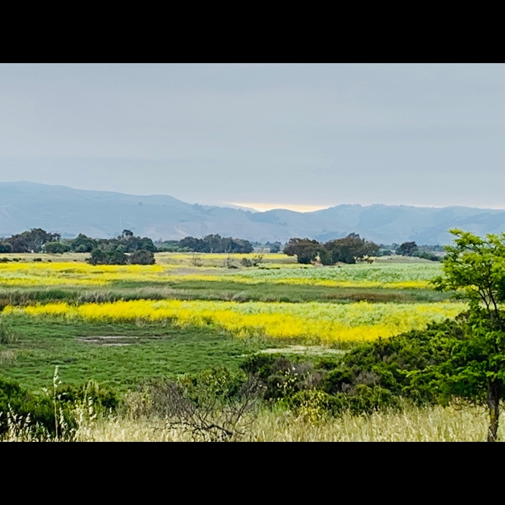 Meet your Posher, Cynthia